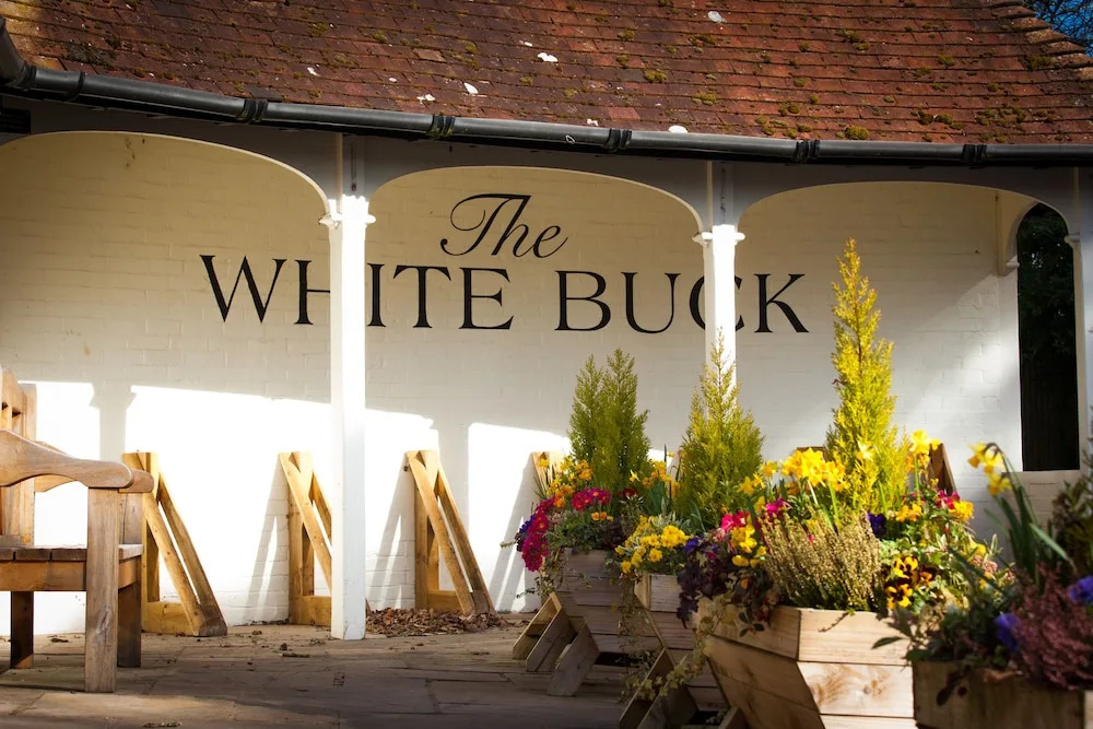 The White Buck