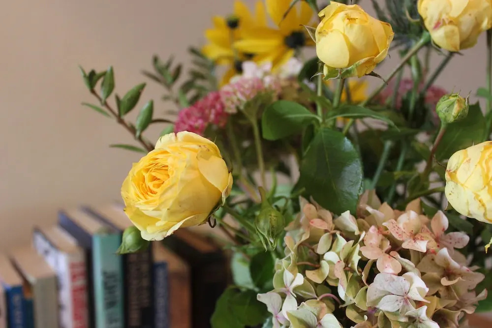 Pardlestone Farm: B&B