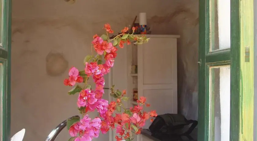 Casita jardín