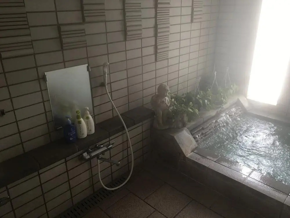 Mt Fuji B&B PENSION LE LAGON