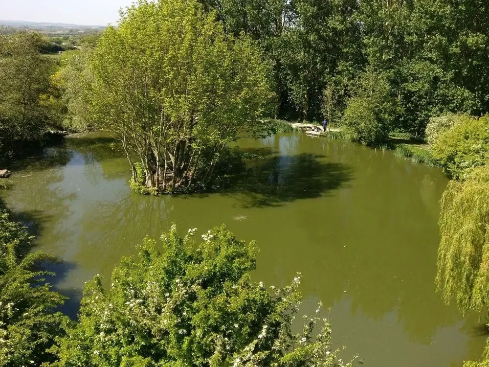 The Pool House at Upper Farm Henton
