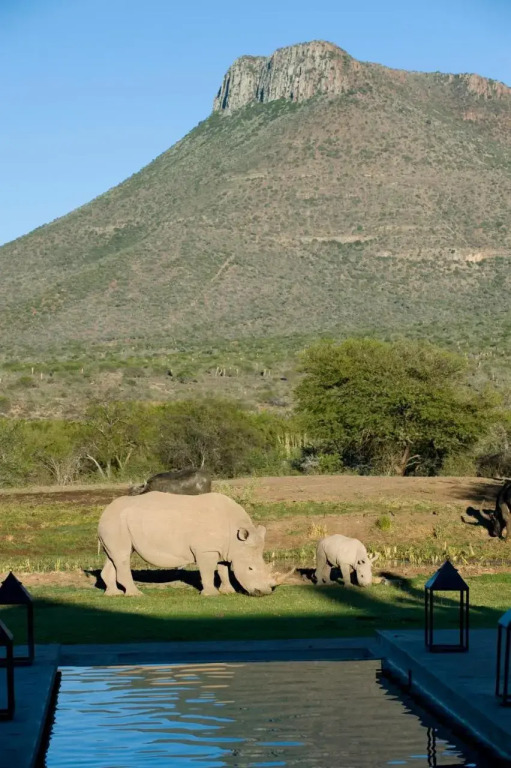 Samara Karoo Lodge