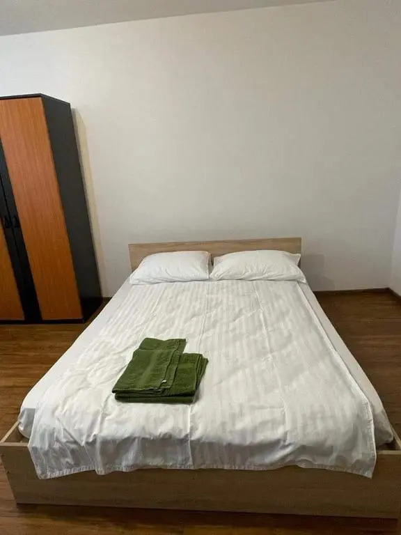 Bega Circumvalatiunii 1 Room Apartment - 3