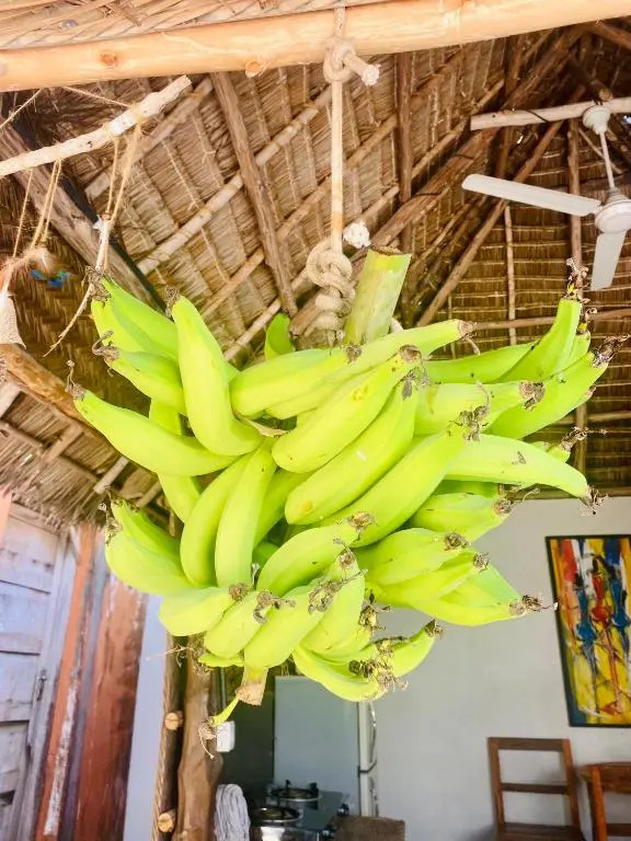 Bush House Nungwi