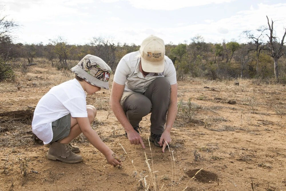 Amani Safari Camp