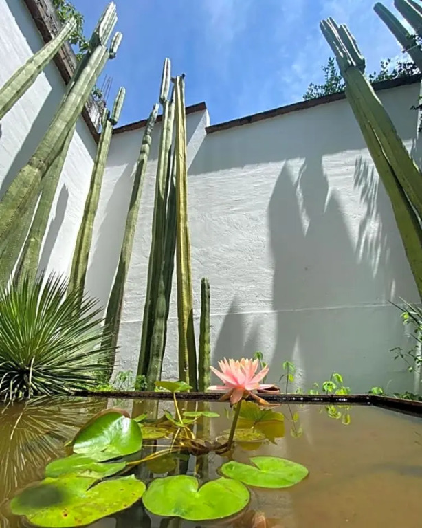 Casa Mayo B&B