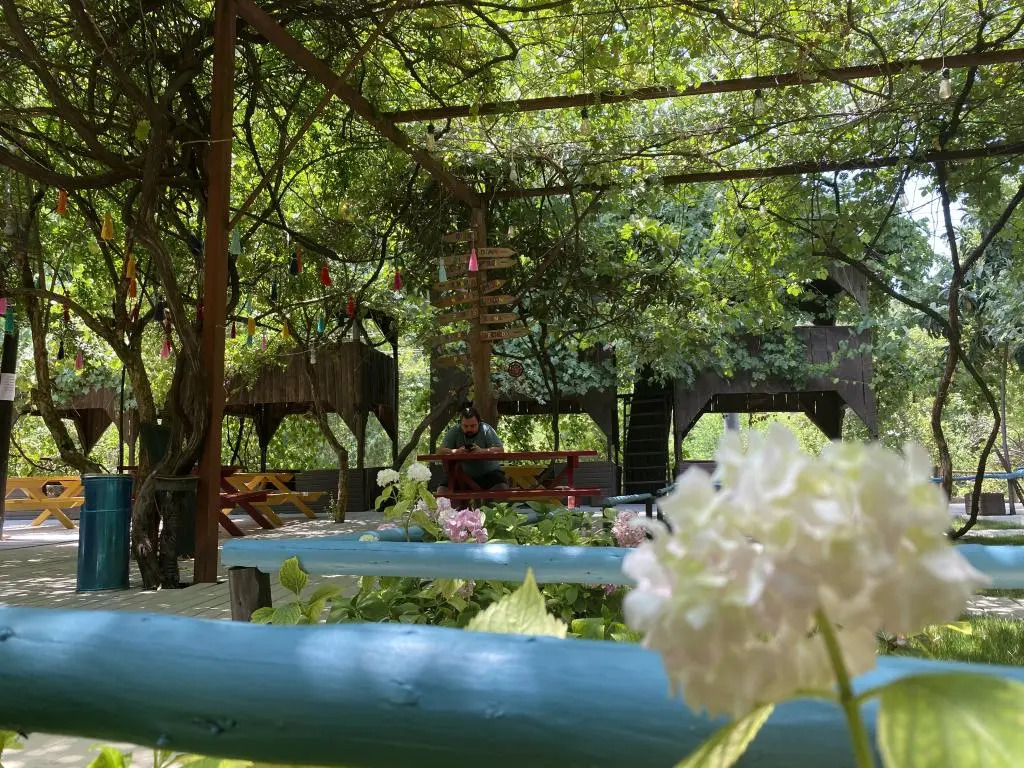 Olympos Camlik Pansiyon +16