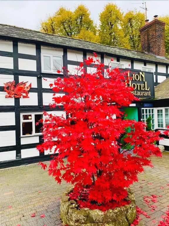 The Lion Hotel