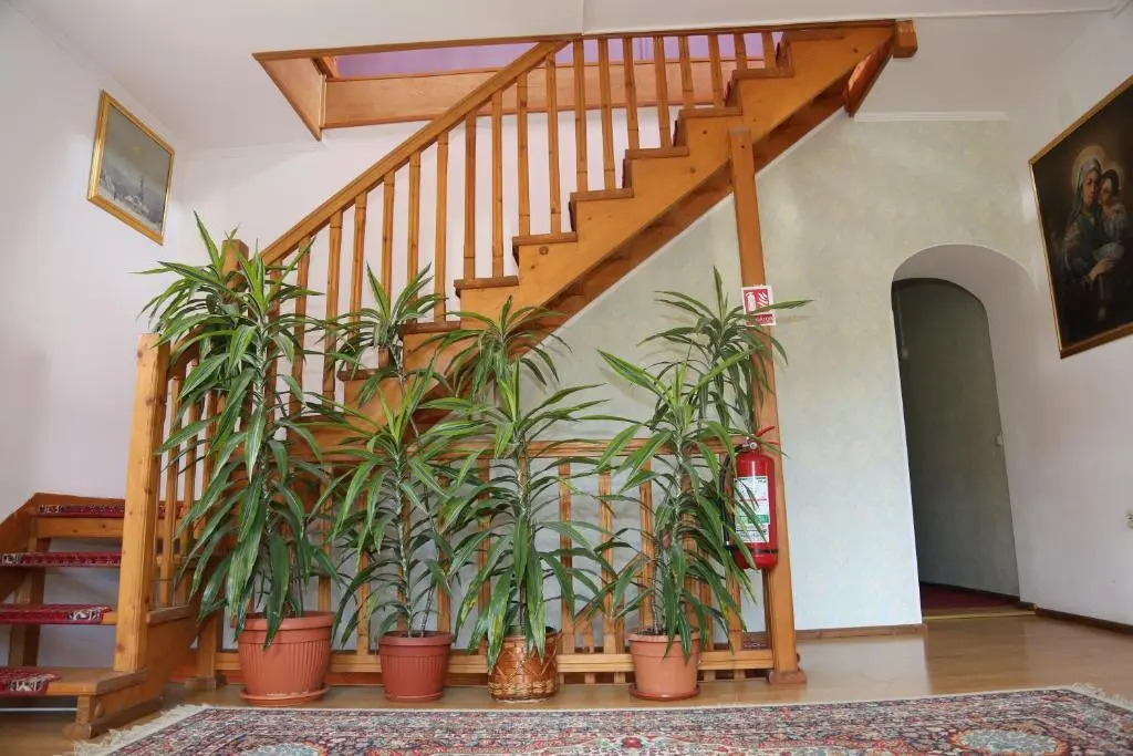 New Aosta Garden