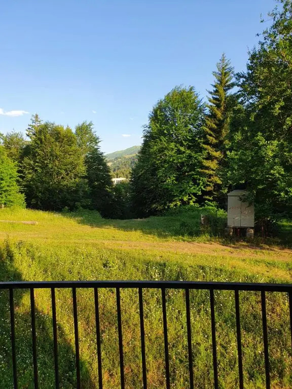 1Room Flat for rent in Bakuriani