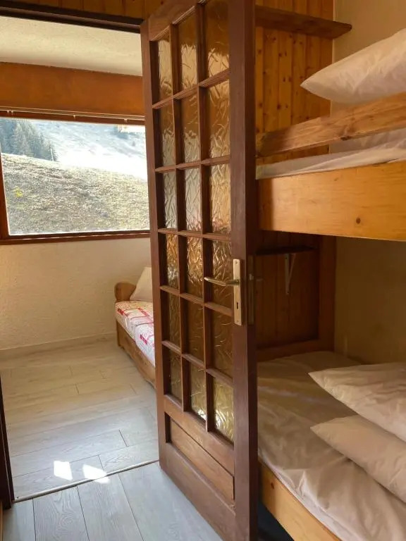 Studio pied des pistes