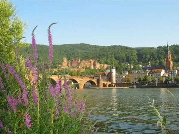 Apartments & Hotel Kurpfalzhof