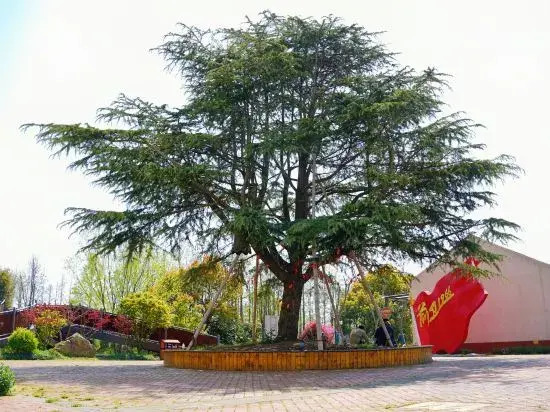Qianwei 1966 Hotel