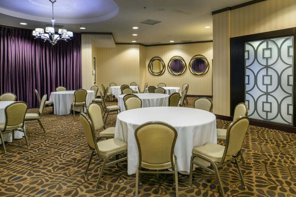 Embassy Suites by Hilton St Louis Airport