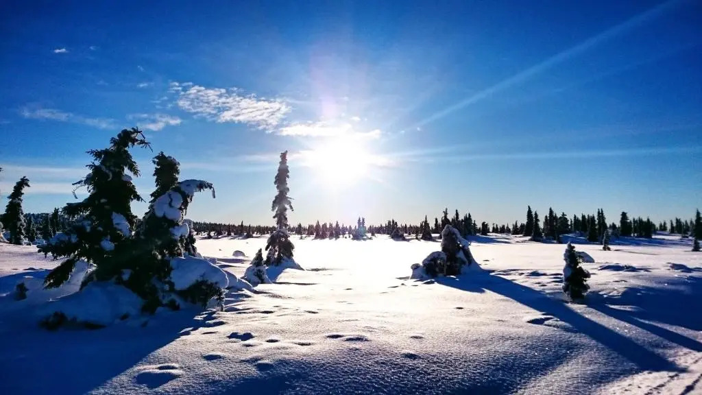 Lillehammer Fjellstue og Hytteutleie
