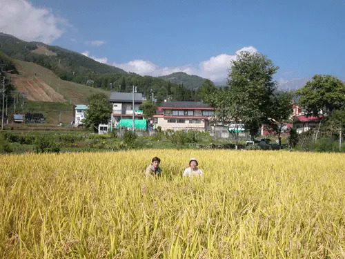 Hakuba Happo Onsen Maruishi