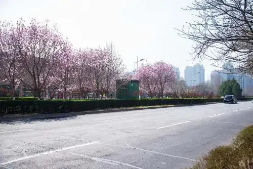 Henan Luoyang·Luoyang City Sports Center· Locals Apartment 00143000
