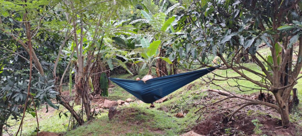 Ella Adventure Park