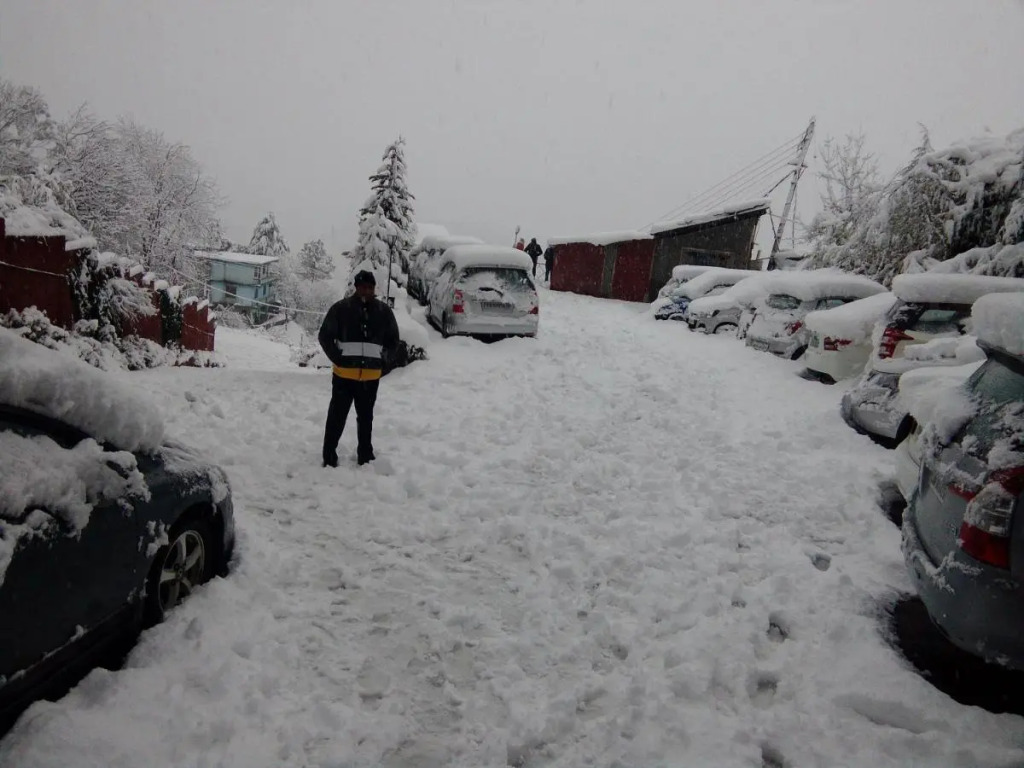 The Chalets Naldehra