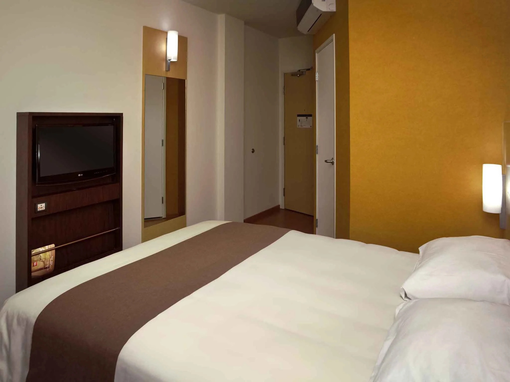 Ibis San Luis Potosi