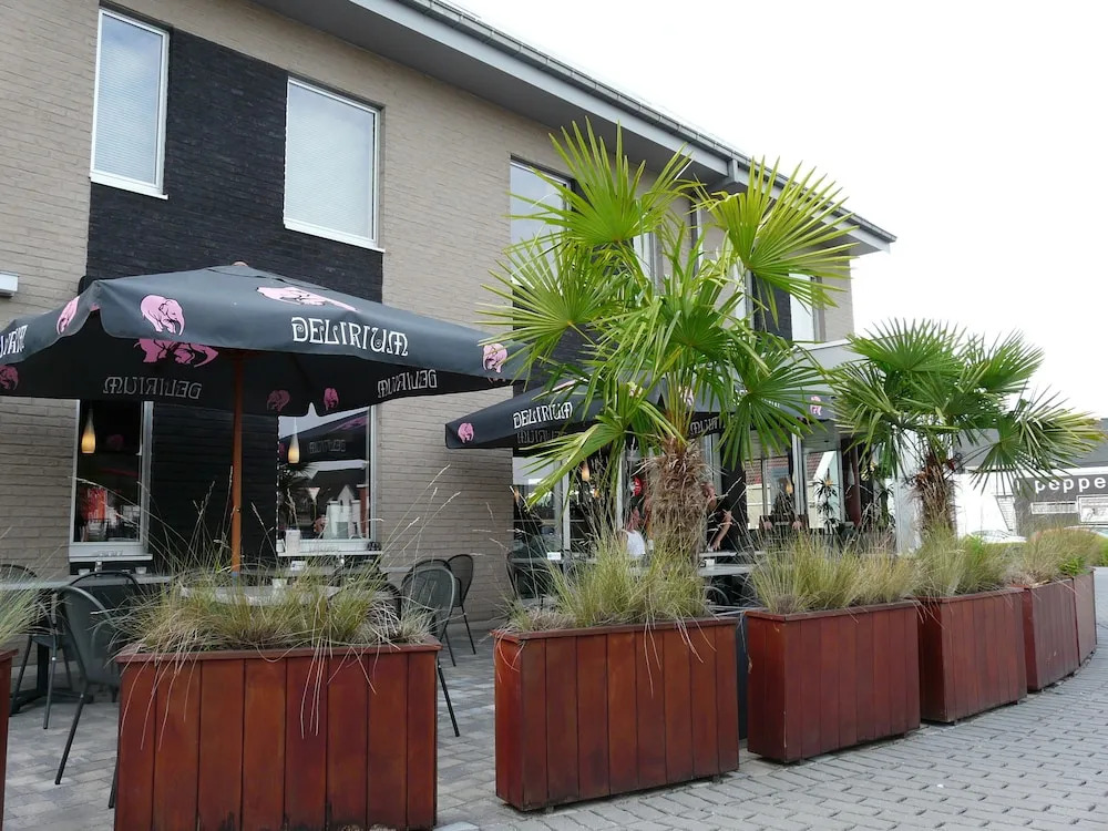 Hotel Otus