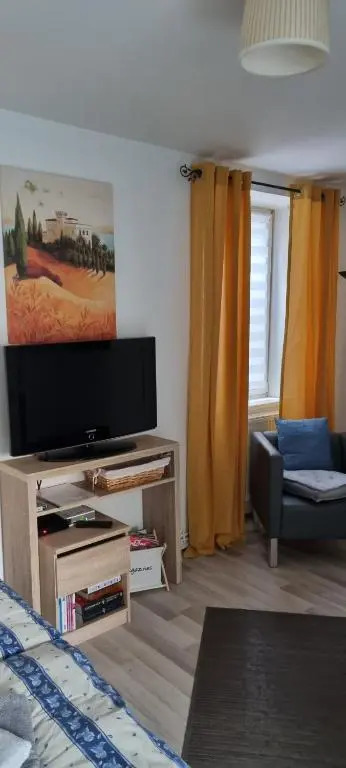 1 rue des romains studio meublé clauss