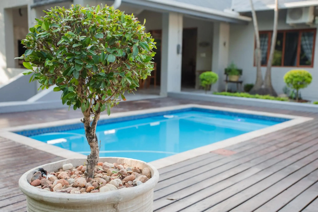 Vinique Guesthouse