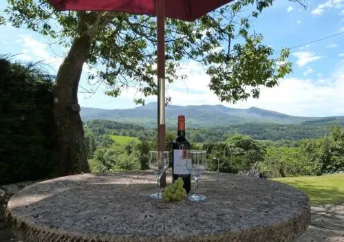 Gerddi'r Coed