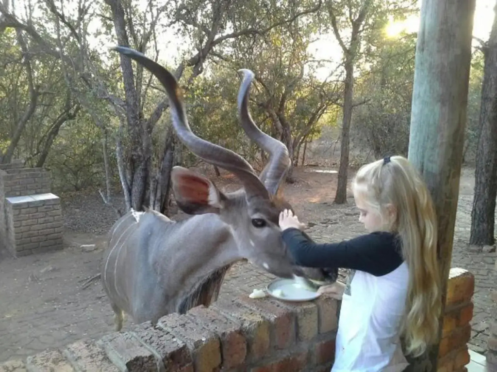 Marlothii Safari House