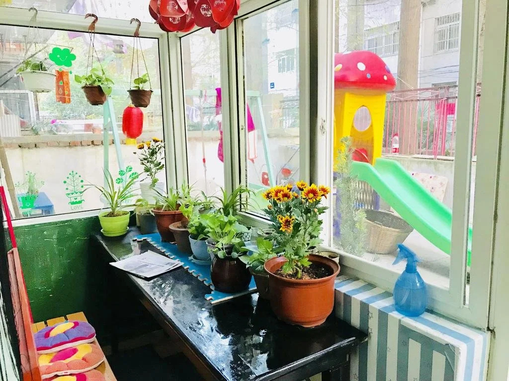 Leaf and Her Friends Youth Hostel