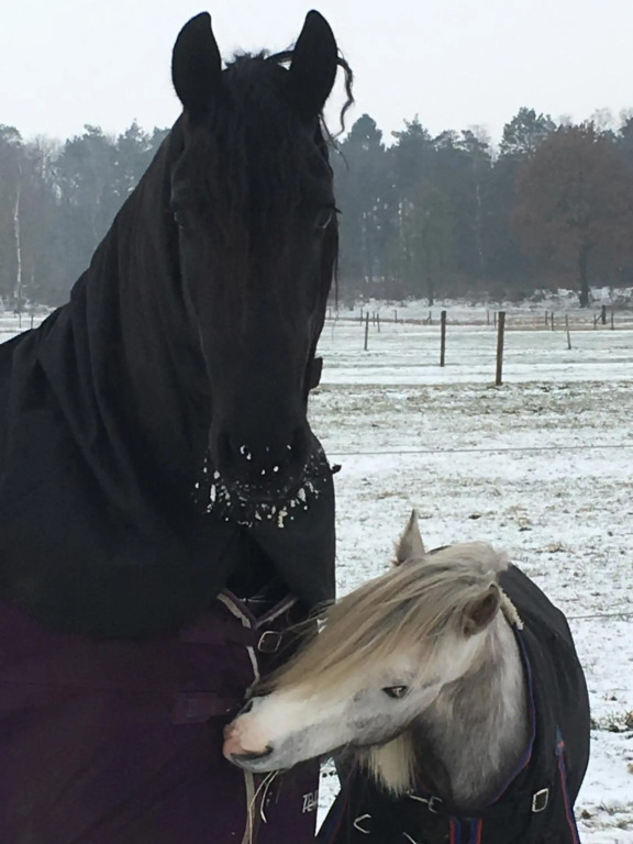 't Hoeske