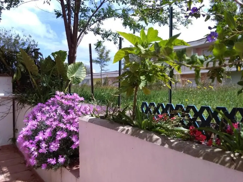 Maison Alighieri Oasi Verde