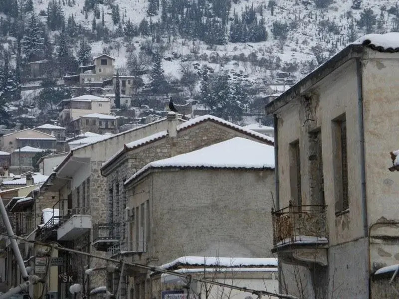 Leonidas Hotel