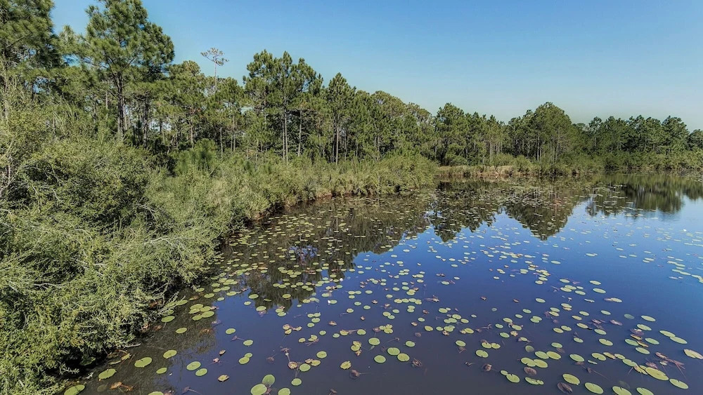 3BR Condo Near Peaceful Lake w/ Large Pool, Close to Beach