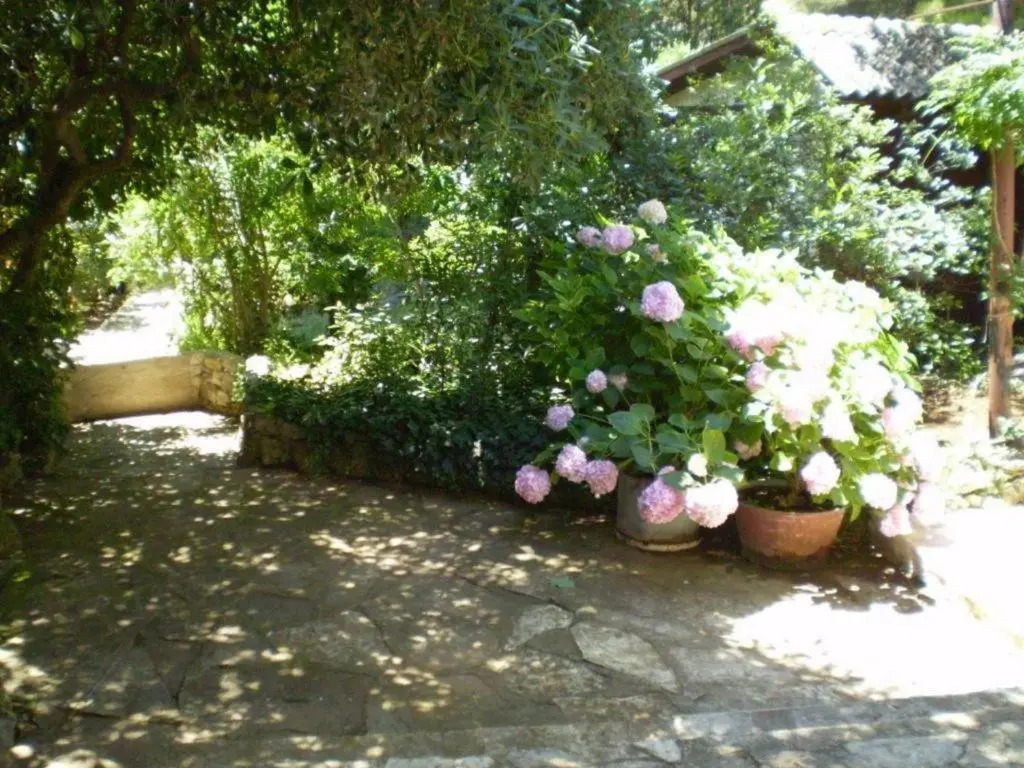 Apartment Zenić