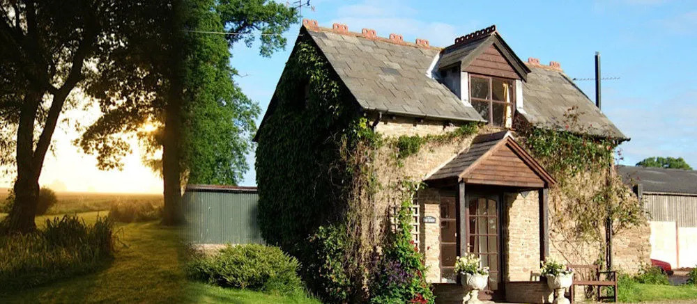 Hills Farm