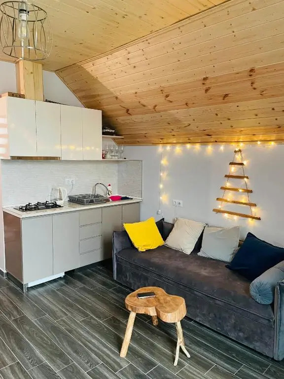 Snow Forest Bakuriani Apartment 17B