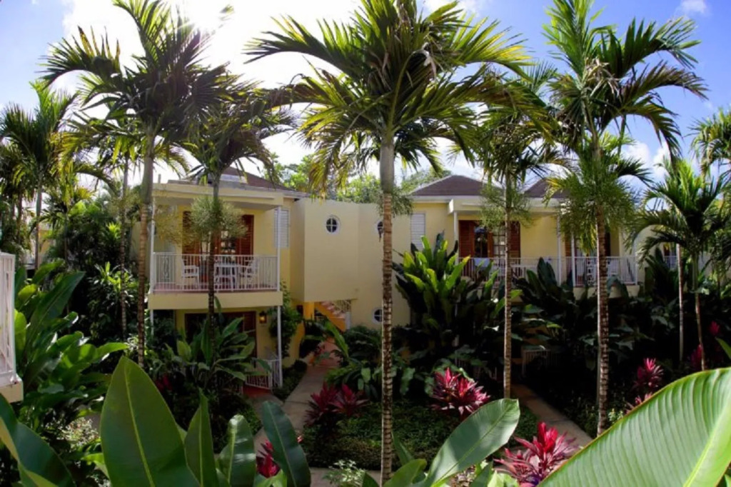 Negril Palms