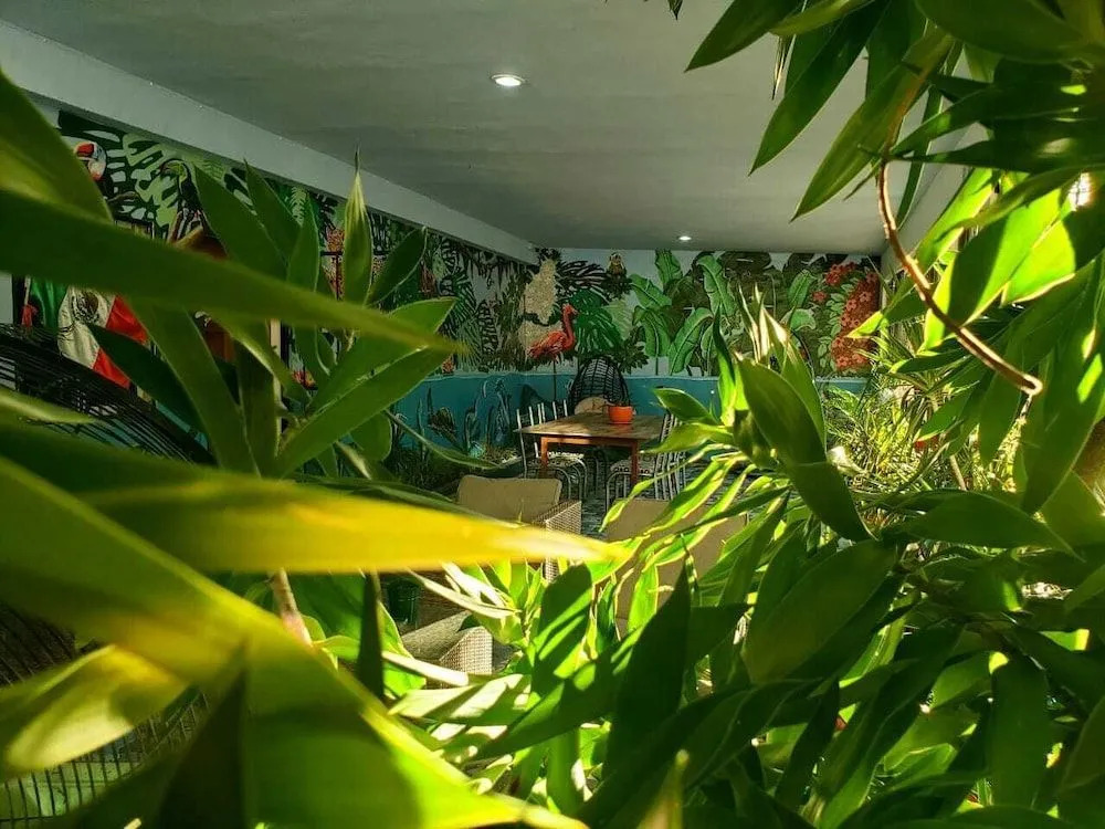 Royal Honey Hostel