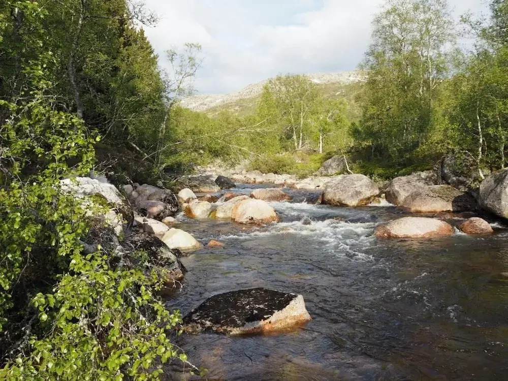 Sirdal Høyfjellshotell