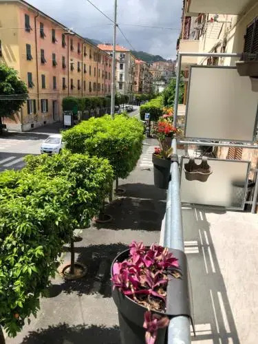 ARI Guest house