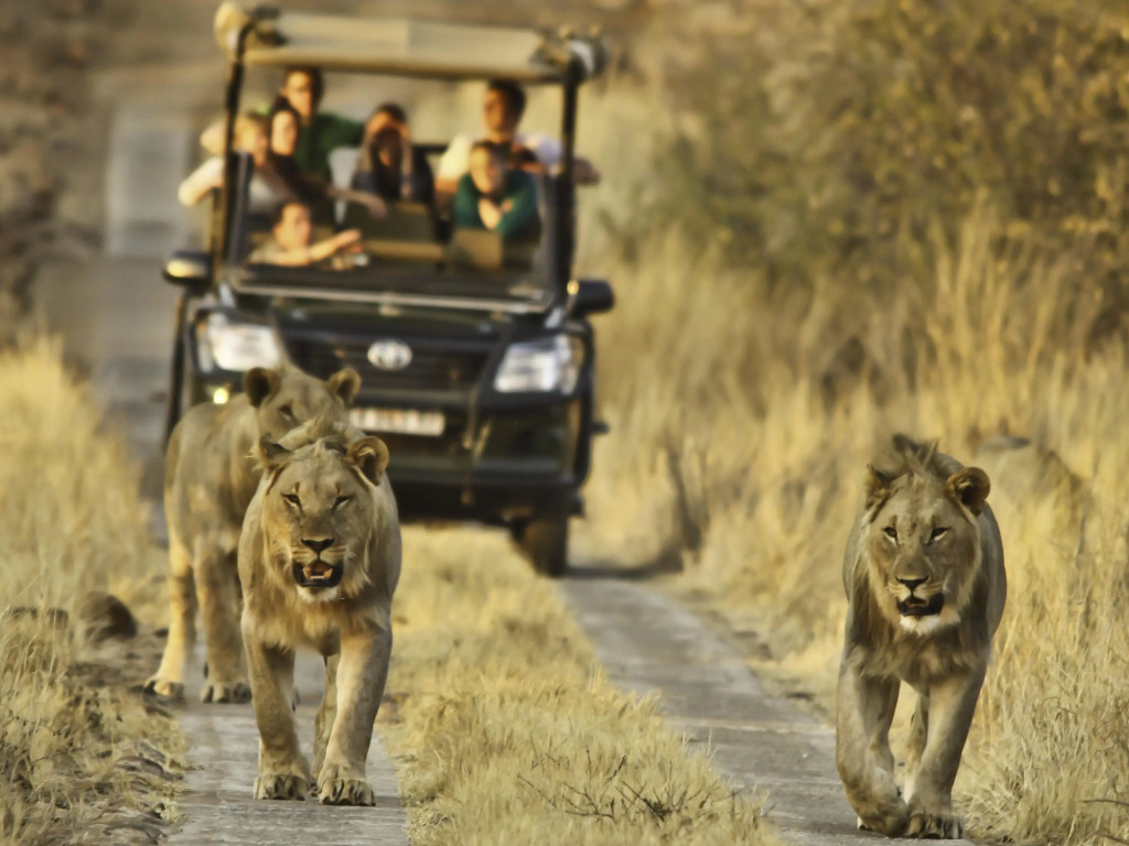 Morokolo Safari Lodge Self-catering