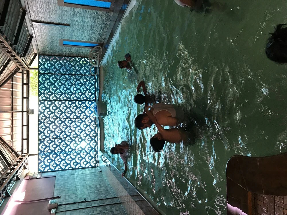Palm Rivera - Hostel