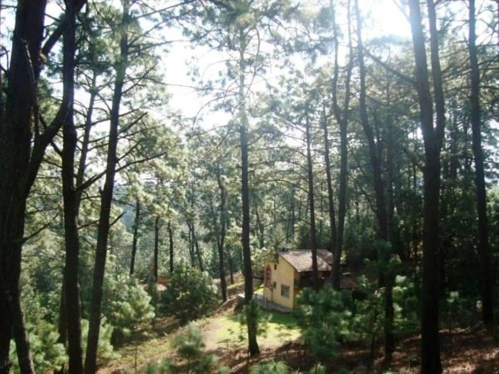 Cabañas El Pinar