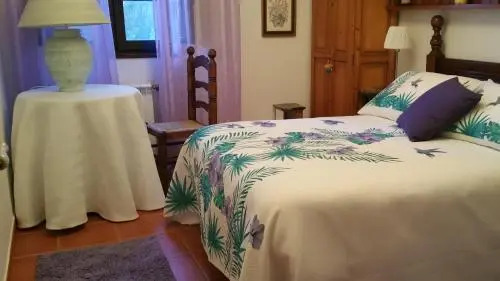 Casa Golmar 20
