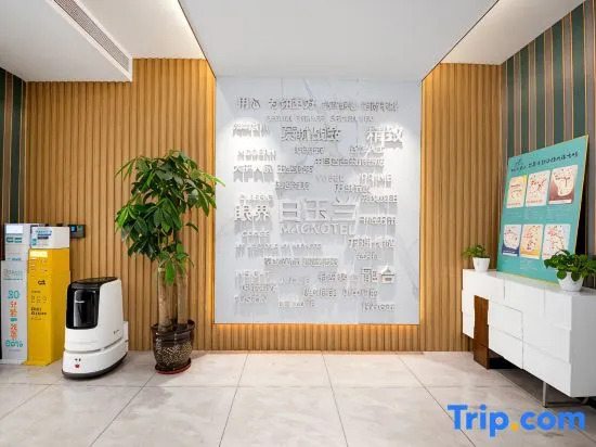 Magnotel Business Hotel (Shijiazhuang Railway Station Shida Hongqi Campus)