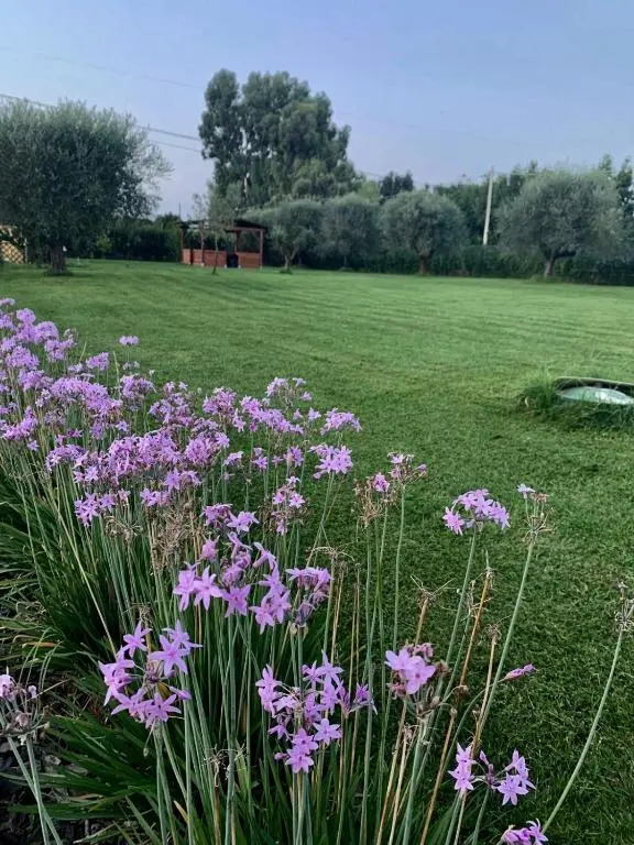 La Rosa del lago