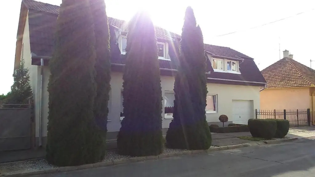 Villa Silver