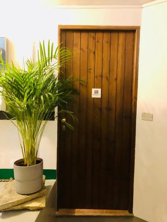 LaPalma2.0