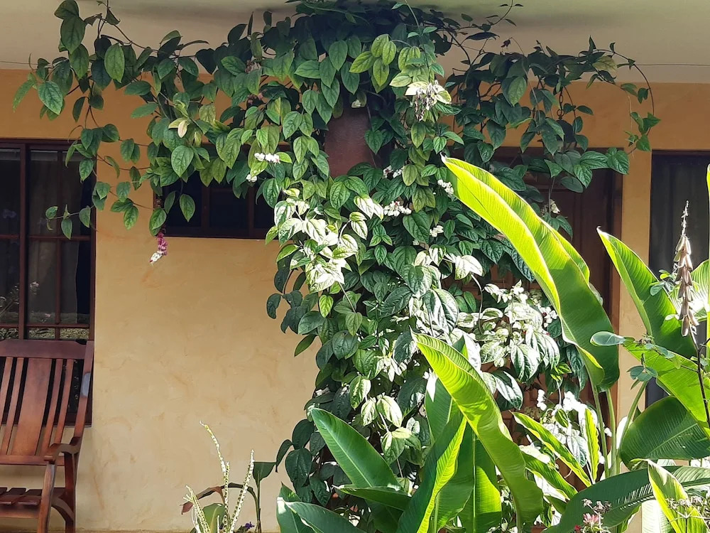 La Posada Copan